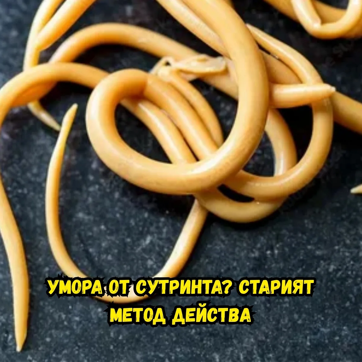 Балансирано хранене с протеински закуски през целия ден