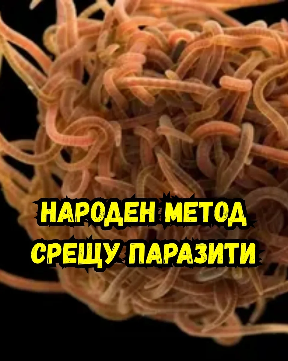 Пет прости закуски