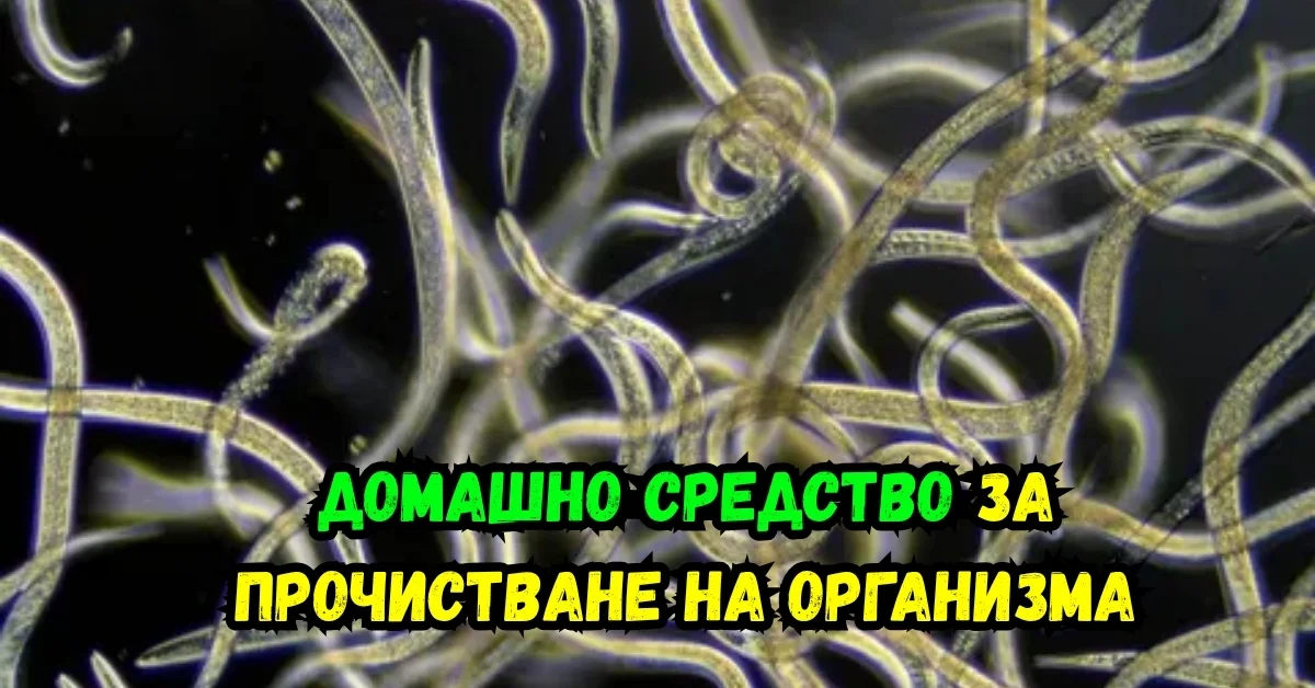 Млечни продукти