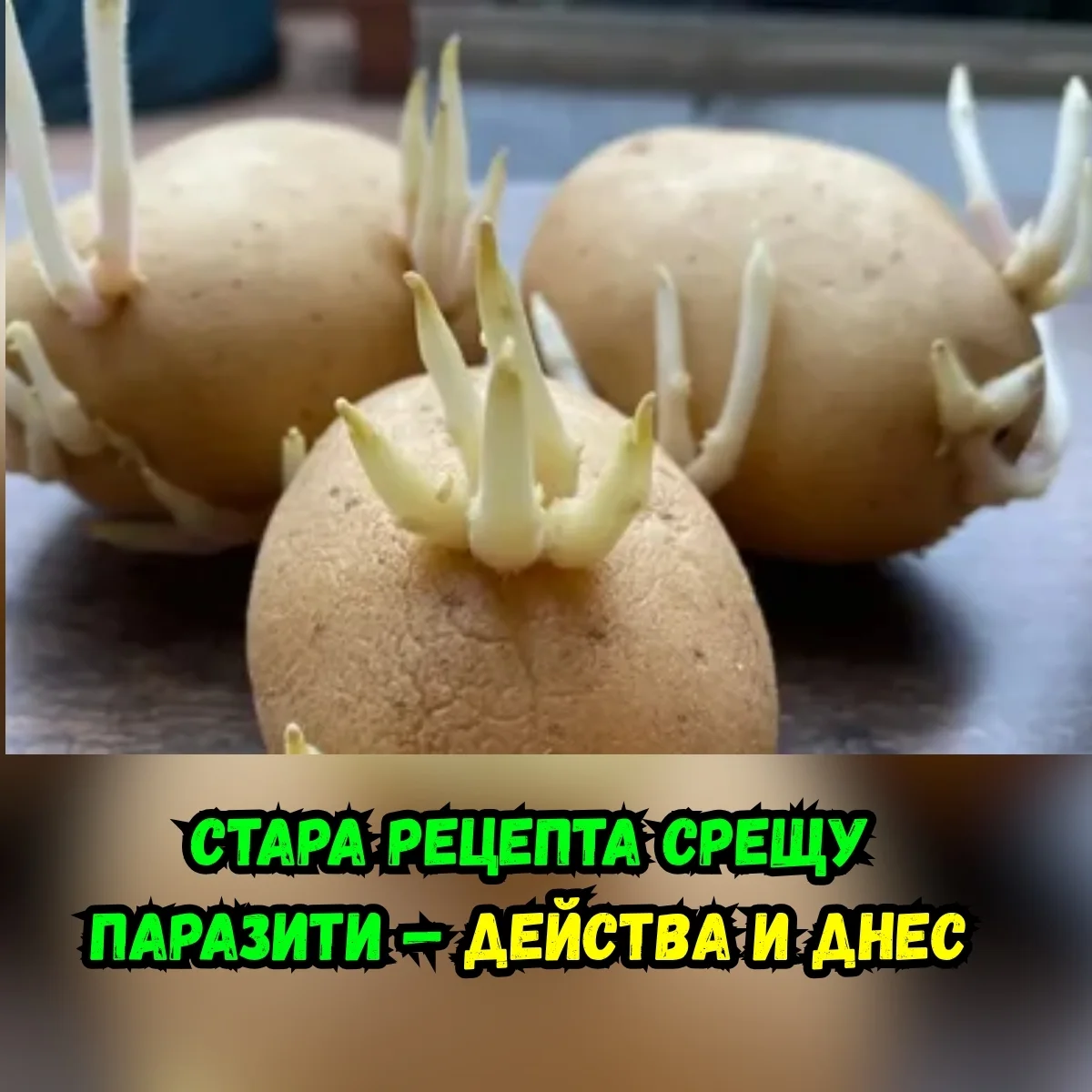 Ежедневна рутина