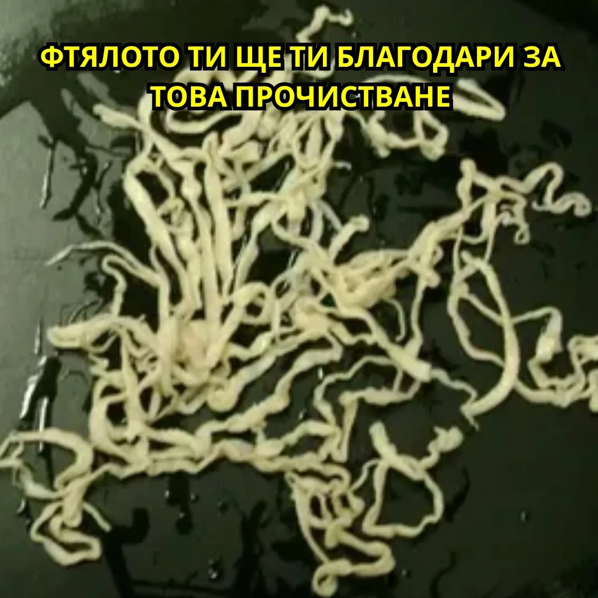 Лесни рецепти