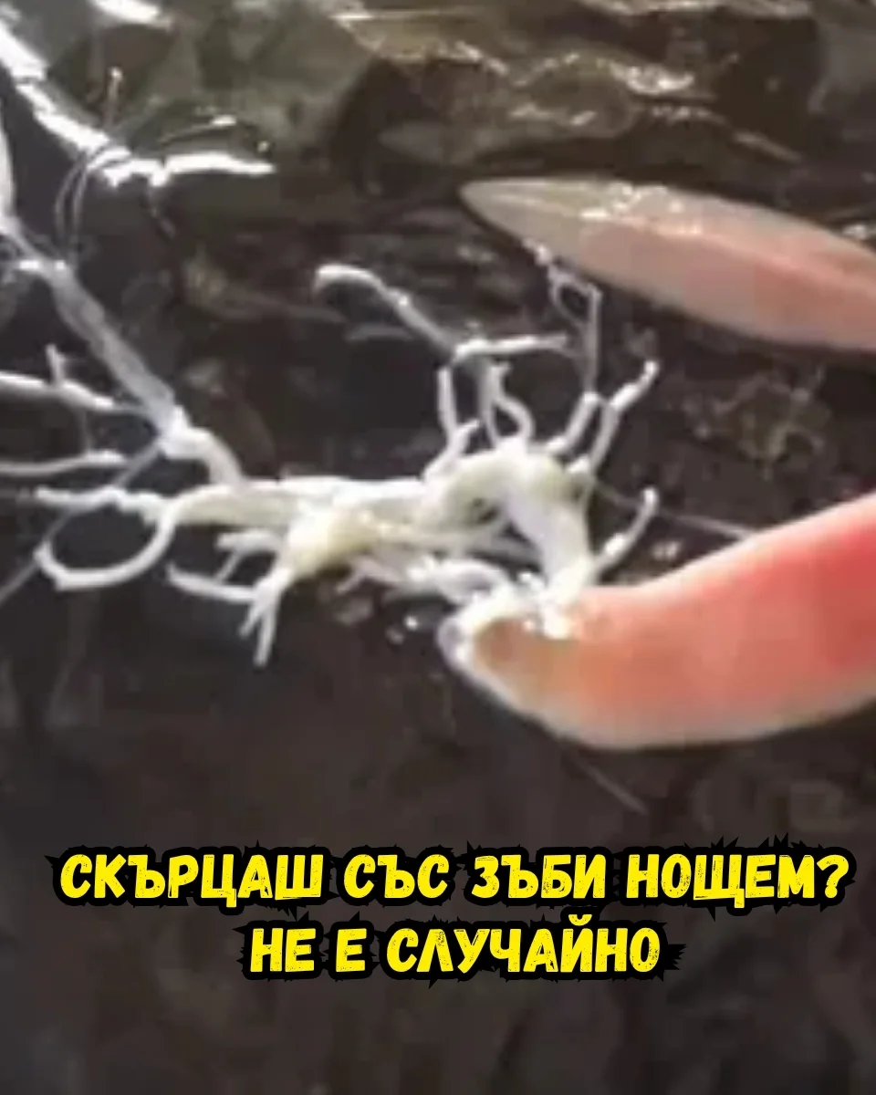 Хидратация