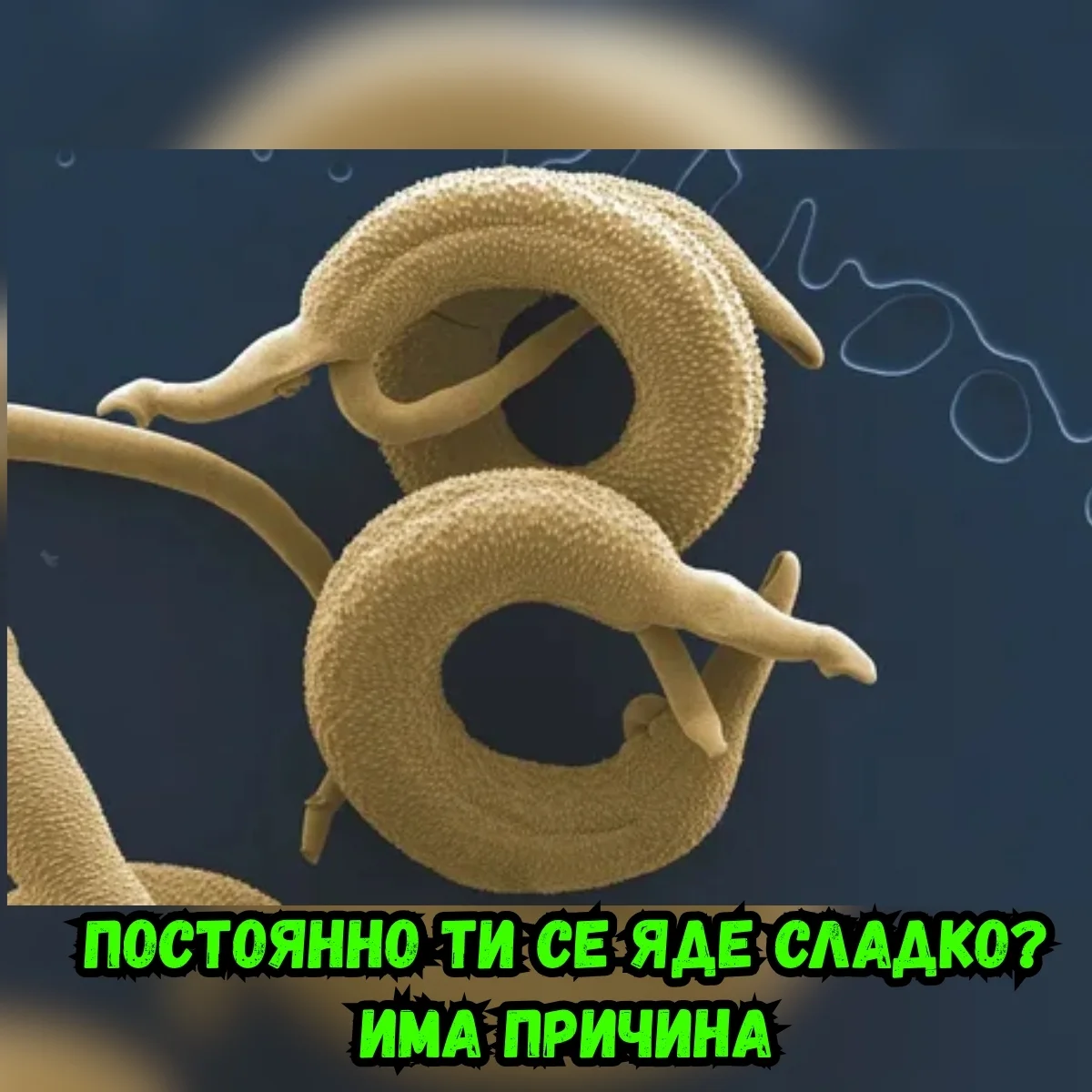 Съвкупни резултати